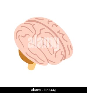 Human brain isometric 3d icon Stock Vector