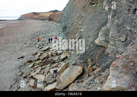 Joggins Fossil Cliffs Geopark on the Bay of Fundy in Nova Scotia Canada is Canada’s 15th UNESCO World Heritage Site. Stock Photo