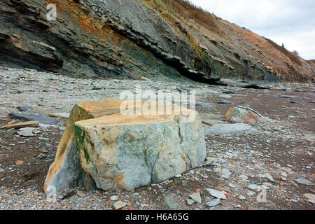 Joggins Fossil Cliffs on the Bay of Fundy in Nova Scotia Canada is Canada’s 15th UNESCO World Heritage Site. Stock Photo