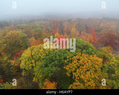 Aerial view fall nature scenery of colorful autumn trees in fog at Dorset, Muskoka, Ontario, Canada. Stock Photo