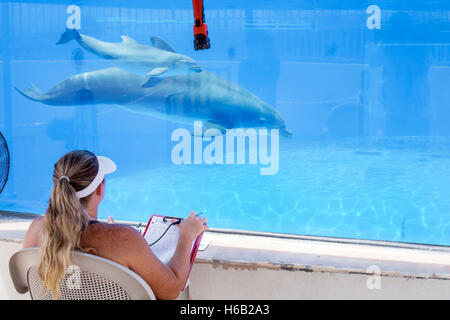 St. Saint Augustine Florida,Marineland Dolphin Adventure,ocean mammal theme park,oceanarium,research educational center,centre,dolphin mother pup calf Stock Photo