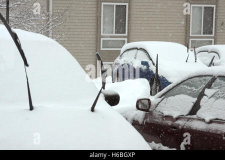 Parked cars with lifted wipers in winter snow Stock Photo