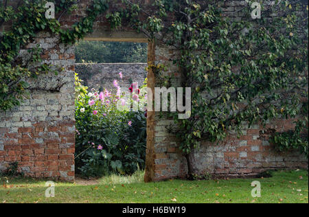 Fan trained fruit tree, doorway and flower garden in autumn in Rousham House walled garden. Oxfordshire, England Stock Photo