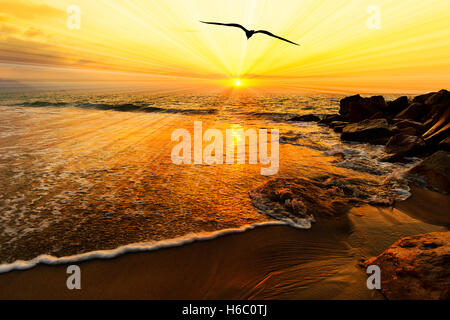 Bird silhouette flying ocean sunset sun rays is a silhouetted bird spreading its wings moving towards the light of the sun rays Stock Photo