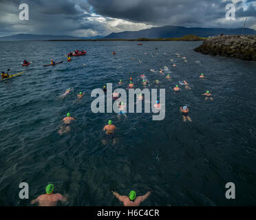 Top view of sea swimmers, Reykjavik, Iceland Stock Photo