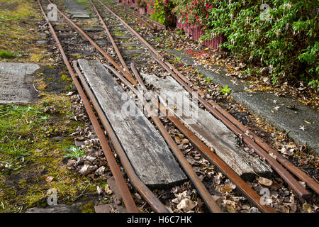 Autumn leaves on the tracks of the disused and neglected Lakeside Miniature Railway, Southport, Merseyside, UK Stock Photo