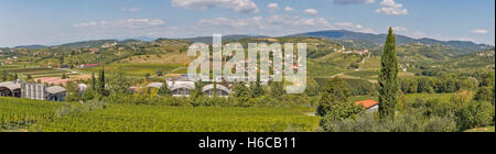Panorama of Dobrovo, Nova Gorica, Slovenia full of hills covered with grapevine. Stock Photo
