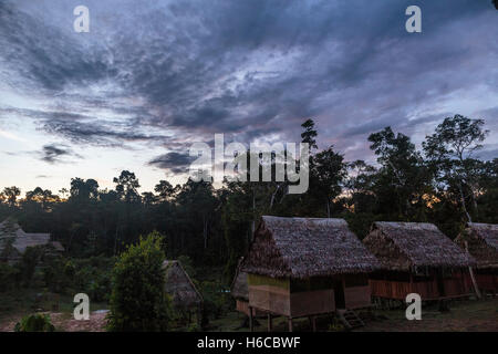 An Ayahuasca medicine Healing center in the Peruvian Amazon rainforest at dusk in a jungle clearing made up of tambos