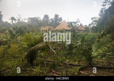 An Ayahuasca Healing center and maloca in the Peruvian Amazon rainforest in a jungle clearing during a foggy morning near Nauta