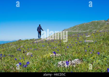 Young man  taking an excursion on a mountain Stock Photo