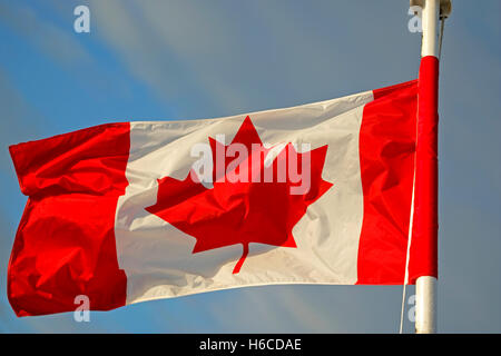 Canadian Flag, red and white with maple leaf Stock Photo