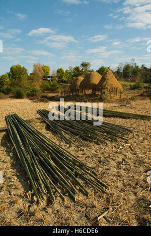 ASIA, MYANMAR (BURMA), Sagaing Division, Kalywa, Chindwin River, Taya Village, bamboo poles drying in foreground with haystack o Stock Photo