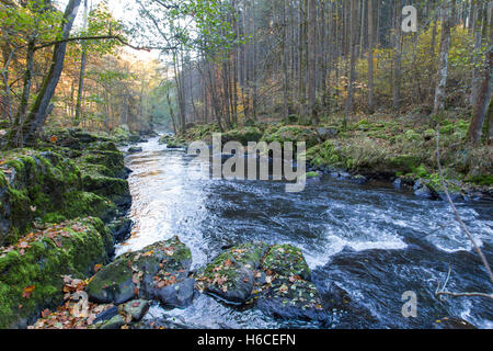 Fluss Ilz im Bayerischen Wald,River Ilz in the Bavarian Forest Stock Photo