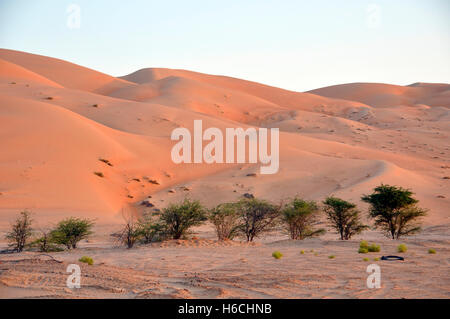 Liwa sand dunes Stock Photo