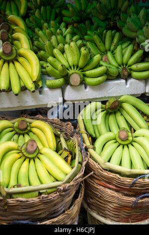 Bunches of unripe green and ripe yellow bananas stacked in outdoor baskets at farmers market Stock Photo