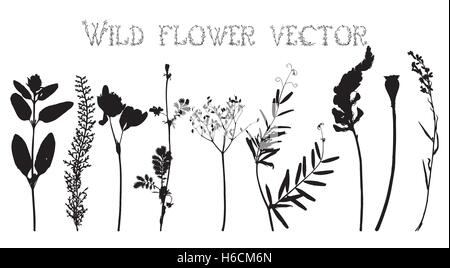 Set black silhouettes of wild flowers and leaves vector illustration Stock Vector