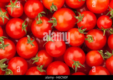 cherry tomatoes texture Stock Photo