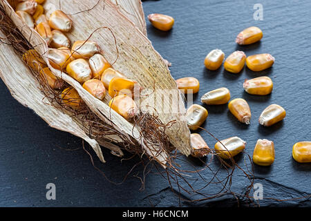 Corn Seeds in on Dark Stone Background. Good Harvest. Stock Photo