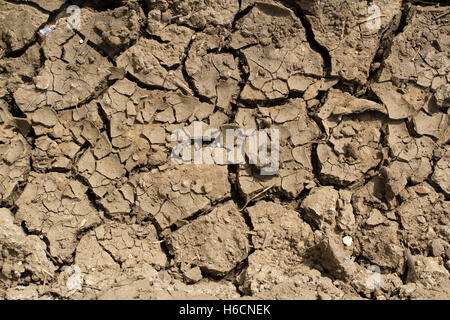 Cracked dry mud makes a pattern/background Stock Photo