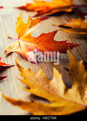 Autumn. Seasonal photo. Autumn leaves loose on a wooden board. Stock Photo