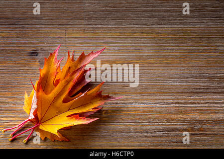 Autumn. Seasonal photo. Autumn leaves loose on a wooden board. Stock Photo