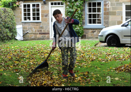 Grandfather and grandson clearing leaves in the garden in North Yorkshire, UK Stock Photo