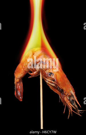 Shrimp on a stick with hot fire. Stock Photo