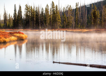 Steam rising from the surface of the Snake River in Yellowstone National Park