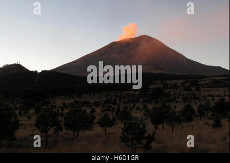 Active Popocatepetl volcano, also called El Popo, picture taken from the Iztaccihuatl mountain in the national park near Puebla, Mexico Stock Photo