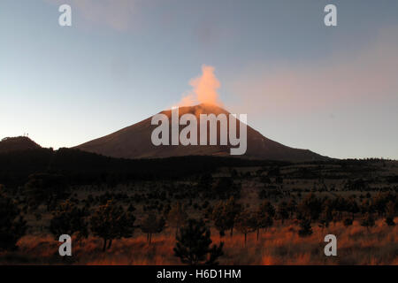 Active Popocatepetl volcano, also called El Popo, picture taken from the Iztaccihuatl mountain in the national park near Puebla, Mexico Stock Photo