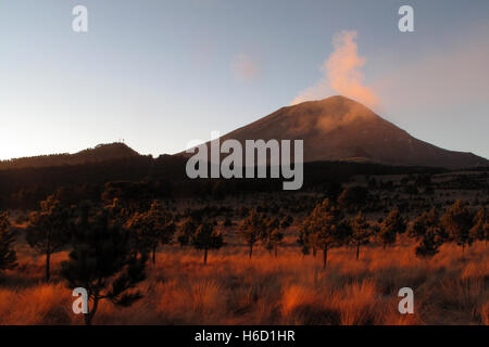 Active Popocatepetl volcano, also called El Popo, picture taken from the Iztaccihuatl mountain in the national park near Puebla, Mexico Stock Photo