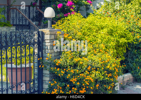 Iron gate with decorative bush Stock Photo