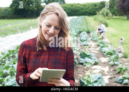 Female Agricultural Worker Using Digital Tablet In Field Stock Photo