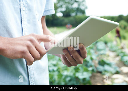Male Agricultural Worker Using Digital Tablet In Field Stock Photo