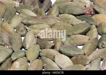Group of cardamon pods for background Stock Photo