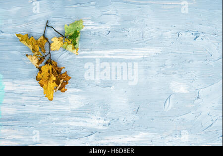 Yellow oak leaves on grey rustic texture. Autumn minimal background Stock Photo