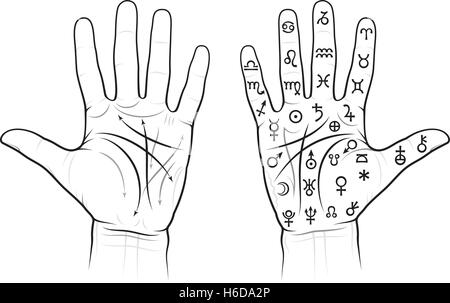 Chiromancy Chart of the Palms: lines, ways, mounts and valleys Stock Vector