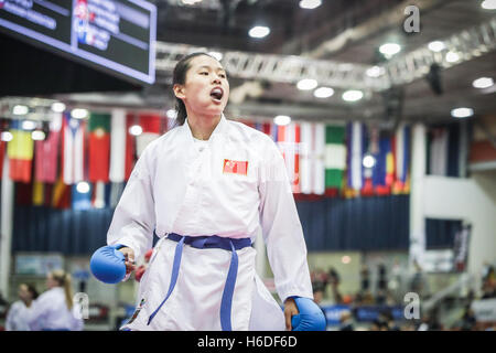 Linz, Austria. 26, October, 2016.  World Championship Karate, WKF Credit:  Jan de Wild Photography / Alamy Live News Stock Photo