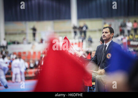 Linz, Austria. 26, October, 2016. World Championship Karate, WKF Credit:  Jan de Wild Photography / Alamy Live News Stock Photo