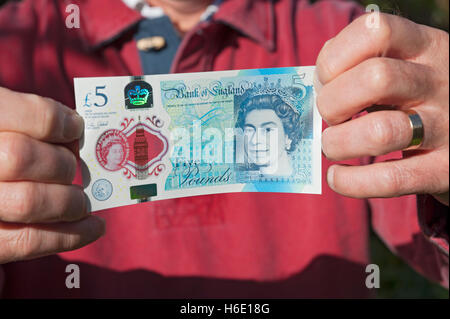 Close up of English money banknote person man holding new polymer five pound note £5 pounds cash England UK United Kingdom GB Great Britain Stock Photo