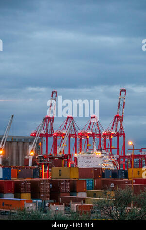 British exports and imports being unloaded and loaded at Seaforth Docks, Liverpool2, Merseyside,  UK Stock Photo