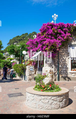 building covered in trailing Bougainvillea flowers on the island of Capri, Italy Stock Photo