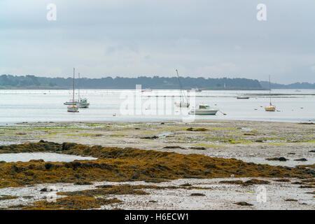Scenery around Larmor-Baden, a commune in the Morbihan department of Brittany in north-western France. Stock Photo