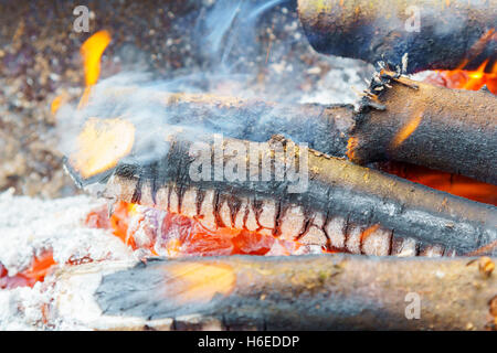 Burning in the fire board. Bonfire with flame, smoke, wooden planks and charcoals embers. Photo close-up with selective focus an Stock Photo