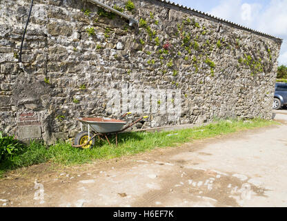 wheelbarrows by rural stone wall outside stables Stock Photo