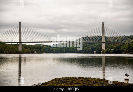 Penobscot Narrows Bridge Stock Photo