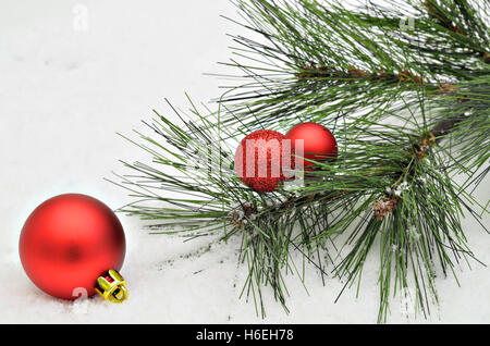 three red Christmas tree balls with fir sprigs on snow background, macro, close up, space for text, horizontal, full frame Stock Photo