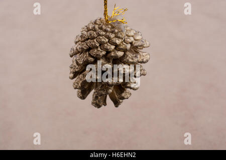 Pine cone on a light  brown background Stock Photo
