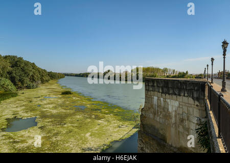 Medieval stone bridge over the river Ebro in the village of Tudela province of Navarre, Spain, Europe. Stock Photo