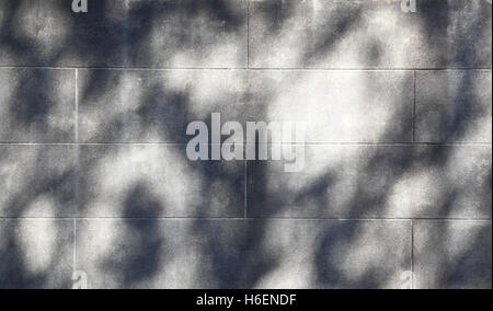 Shadows cast on a white cinder block wall form an irregular pattern that can be used for backgrounds. Stock Photo